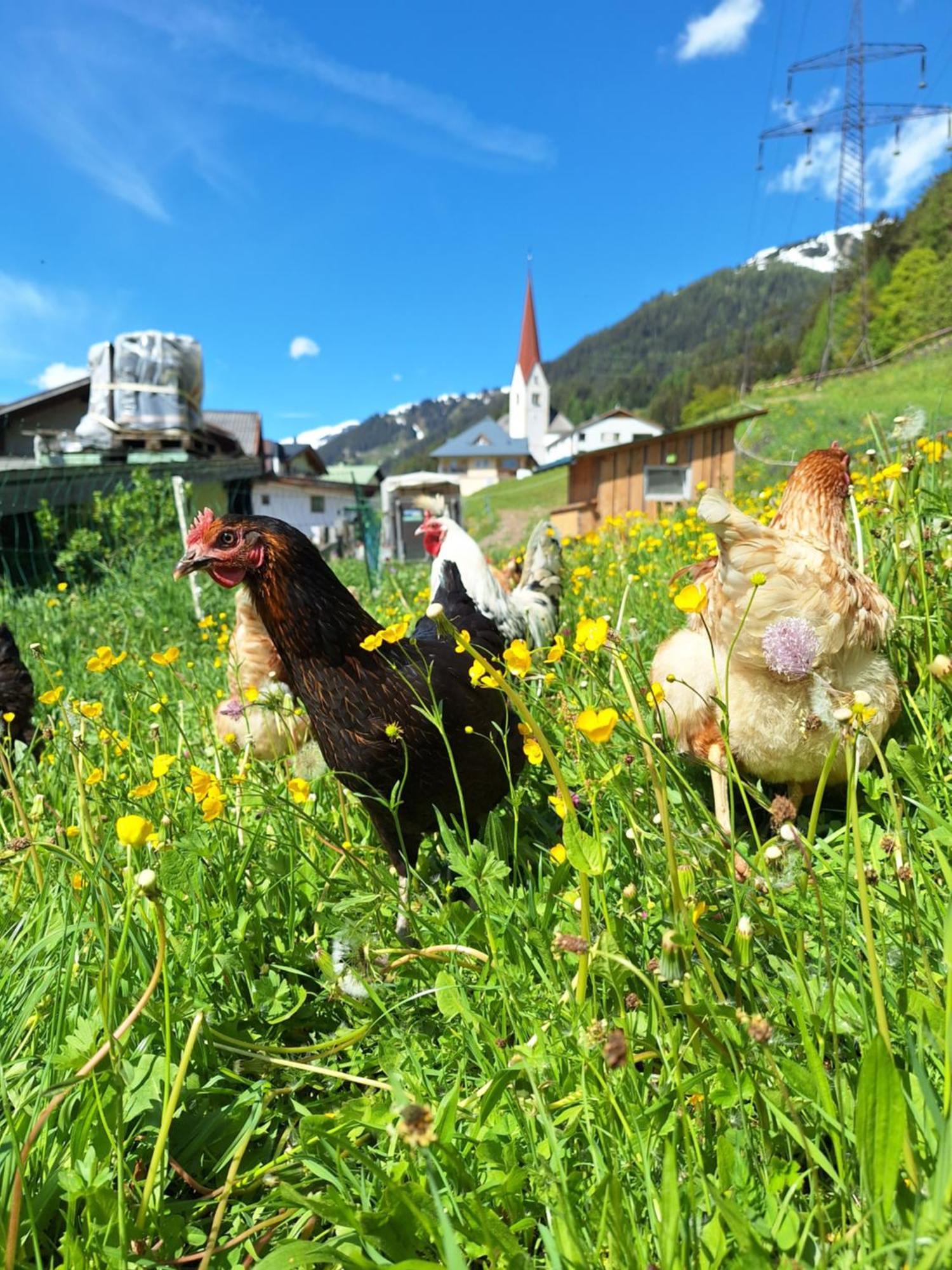 Gsoerhof Leilighet St. Anton am Arlberg Eksteriør bilde