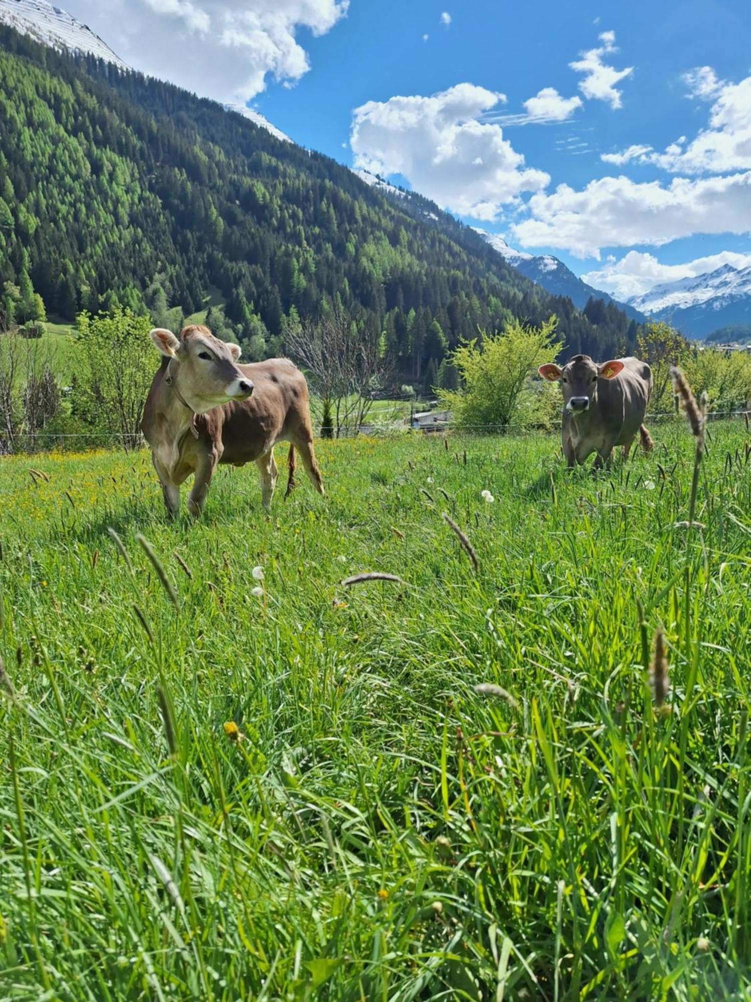 Gsoerhof Leilighet St. Anton am Arlberg Eksteriør bilde